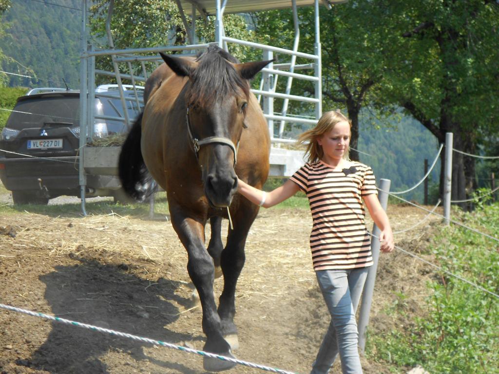 Ferienwohnung Andritsch Sankt Georgen im Gailtal