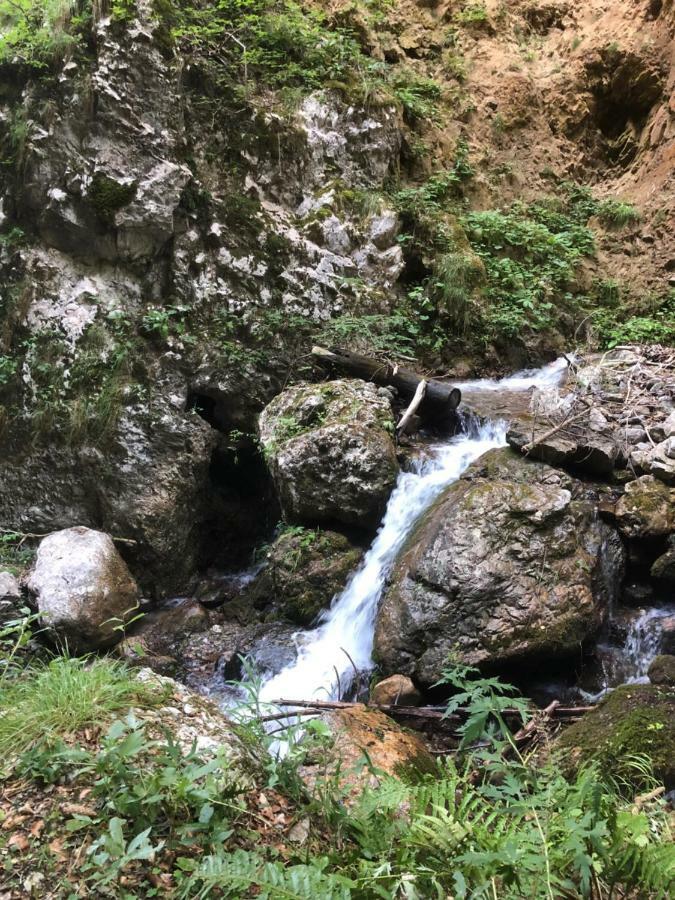 Ferienwohnung Andritsch Sankt Georgen im Gailtal